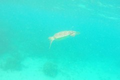 DCIM\100GOPRO\GOPR0039.