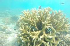 DCIM\100GOPRO\GOPR0090.