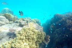 DCIM\100GOPRO\GOPR0099.