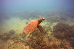 DCIM\100GOPRO\GOPR0331.