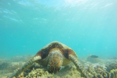DCIM\100GOPRO\GOPR0347.