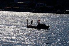 DSCF2331b