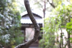 dscf1182