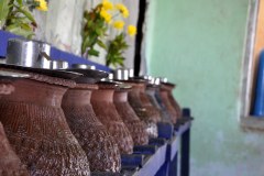 dsc_0555 dsc_0555