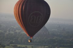 dsc_0695 dsc_0695