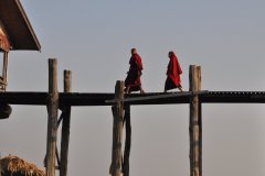 dsc_1116 dsc_1116