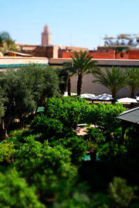 Jardin Secret Marrakech Califonzycation
